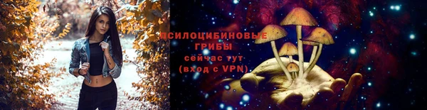 ECSTASY Пестово
