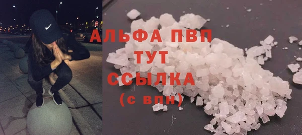 PSILOCYBIN Пересвет