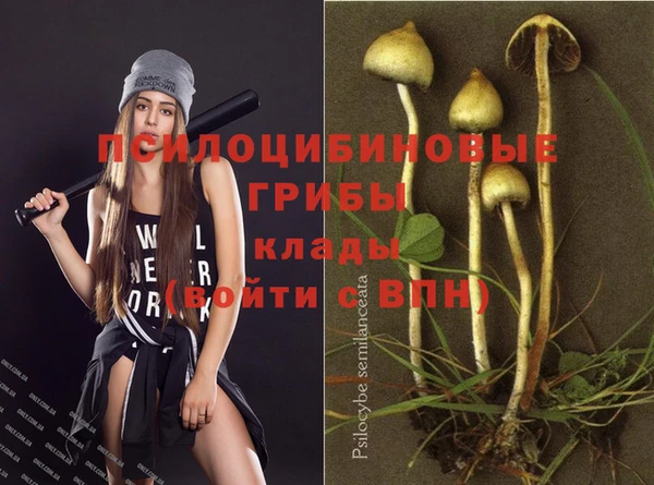 ECSTASY Осинники