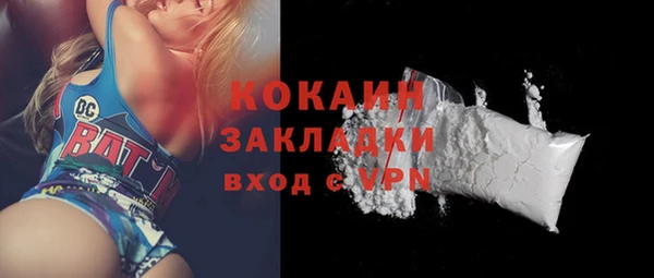 PSILOCYBIN Пересвет