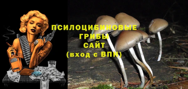 PSILOCYBIN Пересвет