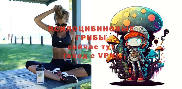 apvp Остров
