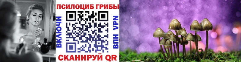 наркошоп  кракен ONION  Галлюциногенные грибы Psilocybe  Энгельс 