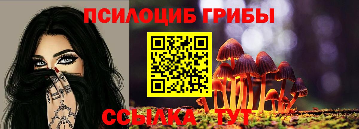 продажа наркотиков  Галлюциногенные грибы MAGIC MUSHROOMS  Энгельс  Галлюциногенные грибы ЛСД 